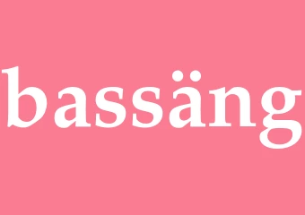 Synonym bassäng