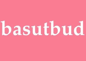 Synonym basutbud