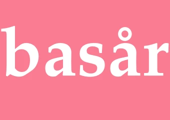 Synonym basår