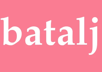 Synonym batalj