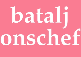 Synonym bataljonschef