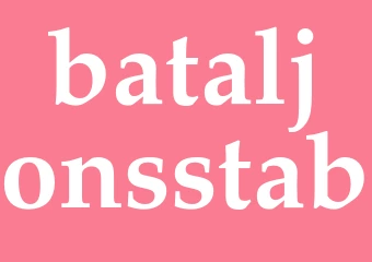 Synonym bataljonsstab