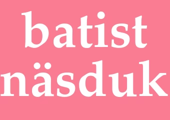Synonym batistnäsduk