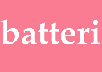 Synonym batteri