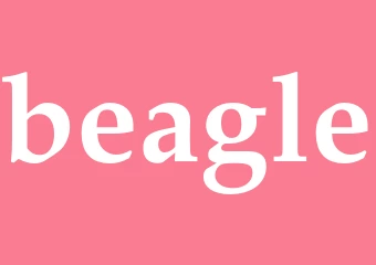 Synonym beagle