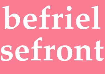 Synonym befrielsefront
