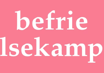 Synonym befrielsekamp