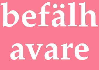 Synonym befälhavare