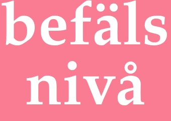 Synonym befälsnivå
