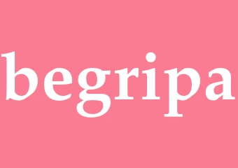 Synonym begripa