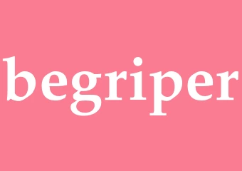 Synonym begriper