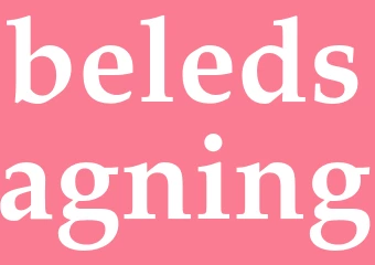 Synonym beledsagning