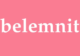 Synonym belemnit