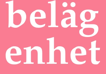 Synonym belägenhet