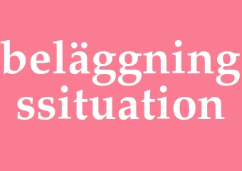 Synonym beläggningssituation
