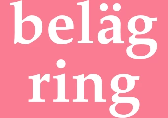 Synonym belägring