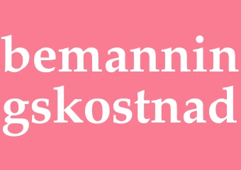 Synonym bemanningskostnad