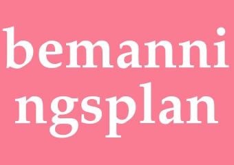 Synonym bemanningsplan