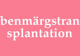 Synonym benmärgstransplantation