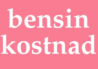 Synonym bensinkostnad