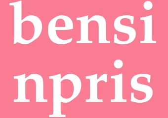 Synonym bensinpris