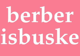 Synonym berberisbuske