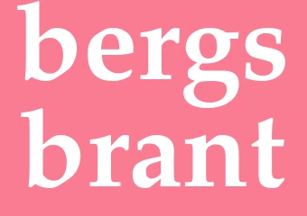 Synonym bergsbrant