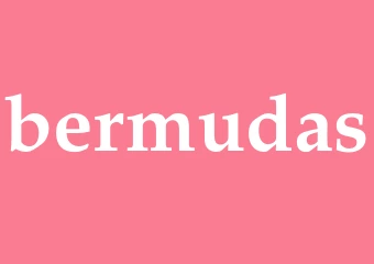 Synonym bermudas
