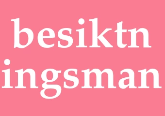 Synonym besiktningsman
