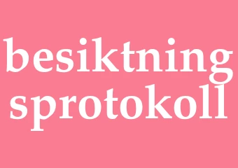 Synonym besiktningsprotokoll