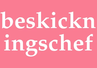 Synonym beskickningschef
