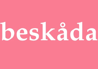 Synonym beskåda