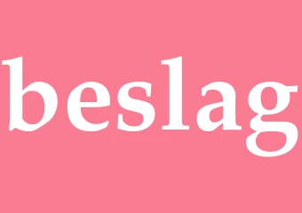 Synonym beslag