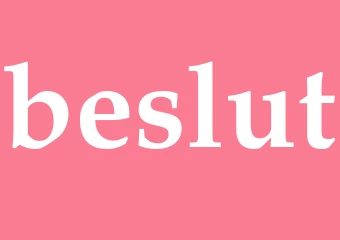 Synonym beslut