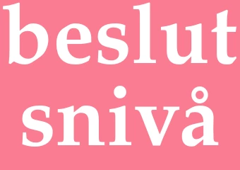 Synonym beslutsnivå