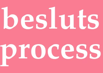 Synonym beslutsprocess