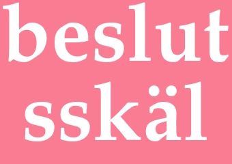 Synonym beslutsskäl
