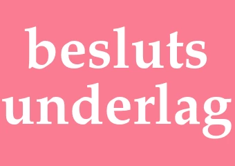 Synonym beslutsunderlag