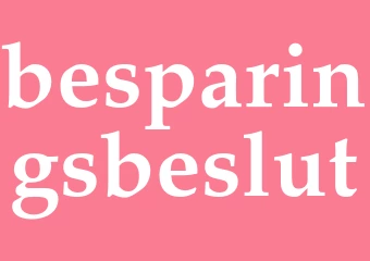 Synonym besparingsbeslut