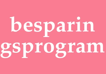 Synonym besparingsprogram