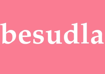 Synonym besudla