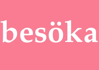 Synonym besöka
