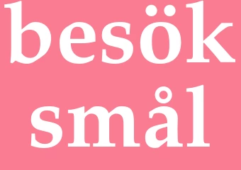 Synonym besöksmål