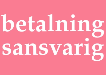 Synonym betalningsansvarig