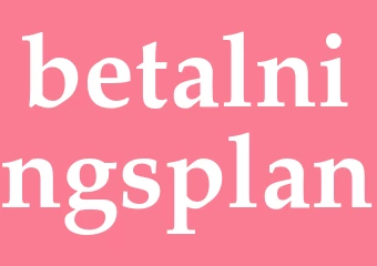 Synonym betalningsplan