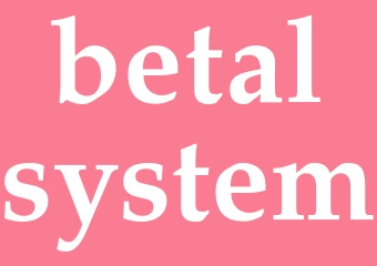 Synonym betalsystem