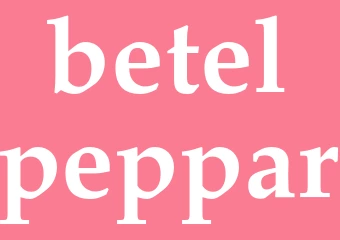 Synonym betelpeppar