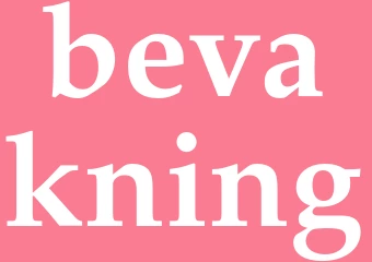 Synonym bevakning