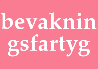 Synonym bevakningsfartyg