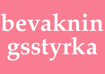 Synonym bevakningsstyrka